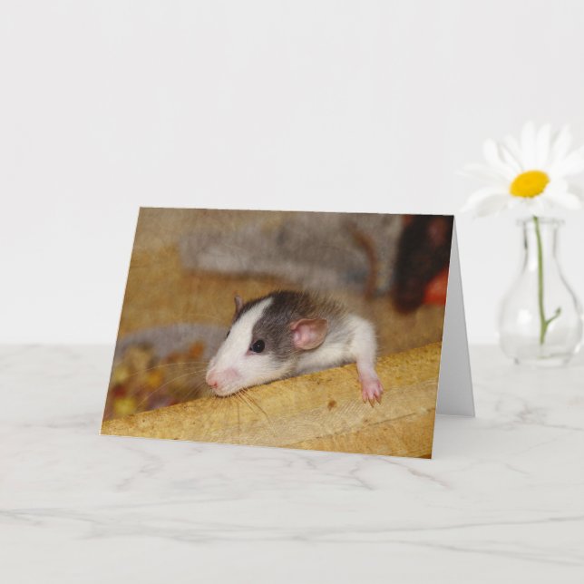 Niedliche Ratte Karte (Kleine Pflanze)