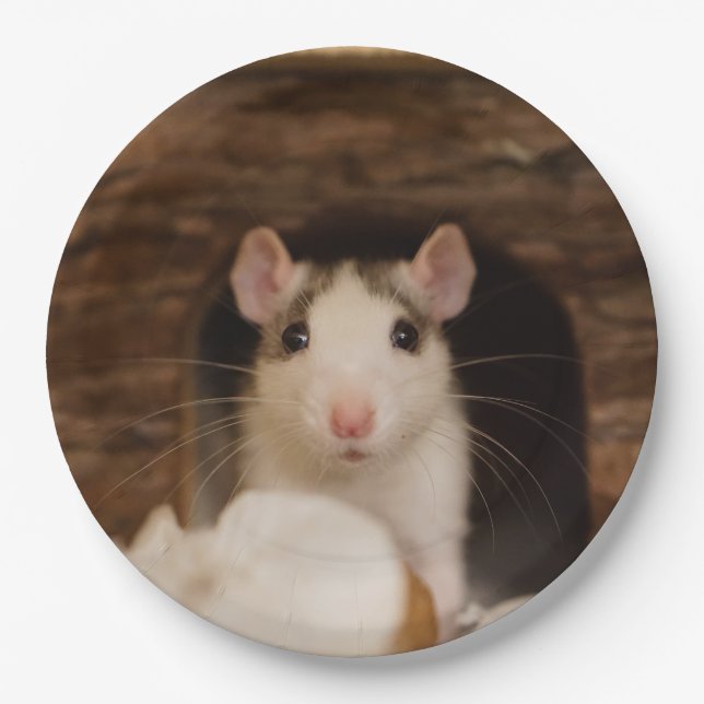 Niedliche Ratte Pappteller (Vorderseite)
