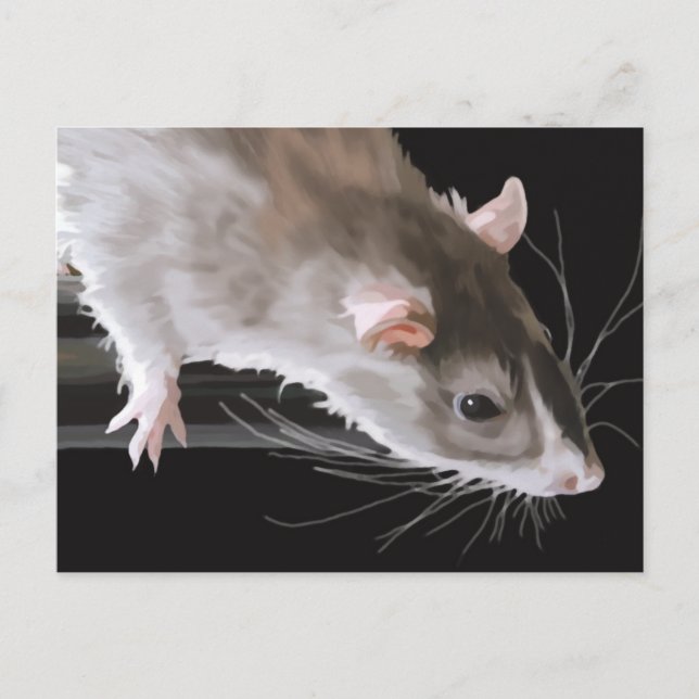 Niedliche Ratte Postkarte (Vorderseite)