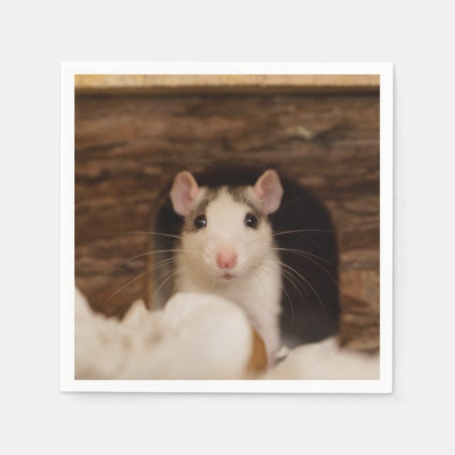 Niedliche Ratte Serviette (Vorderseite)