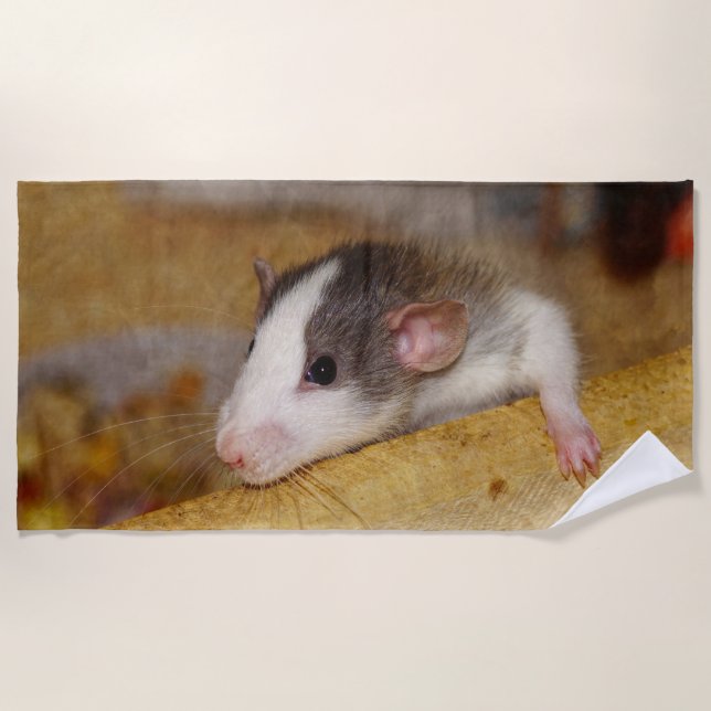 Niedliche Ratte Strandtuch (Vorderseite)