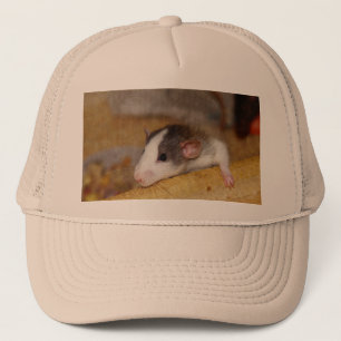 Niedliche Ratte Truckerkappe