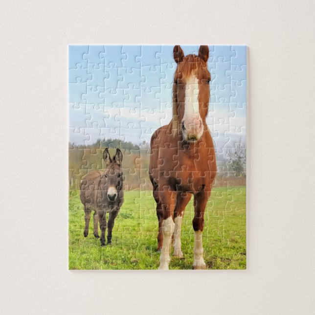 Niedliche Reiter- und Donkey-Freunde von Landtiere (Vertikal)