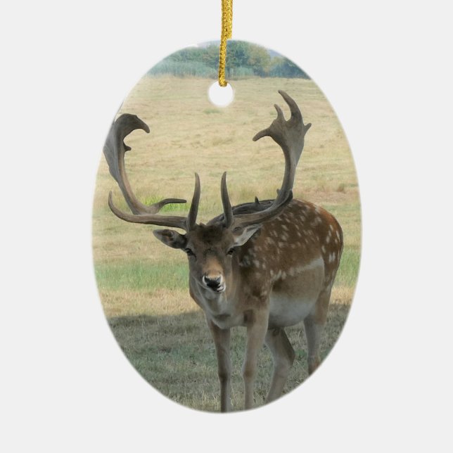 Niedliche Rentiere Keramik Ornament (Vorne)