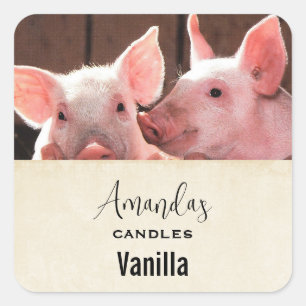Niedliche rosa Ferkel Tierfotografie Handwerkskuns Quadratischer Aufkleber