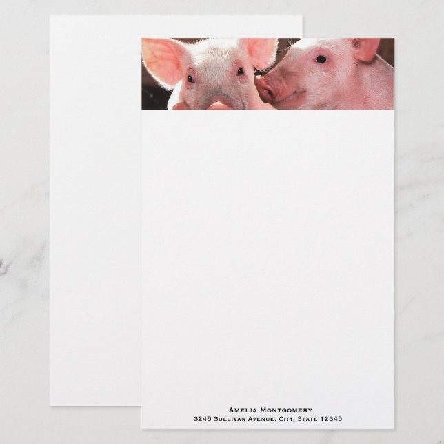Niedliche rosa Ferkel Tierfotos Briefpapier (Vorne/Hinten)