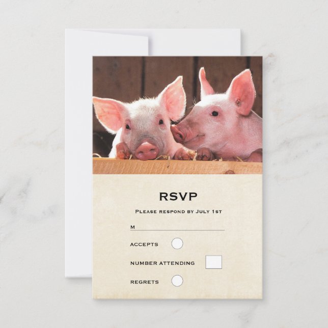 Niedliche rosa Ferkel Tierfotos RSVP Karte (Vorderseite)
