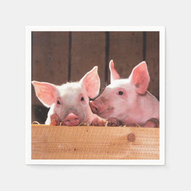 Niedliche rosa Ferkel Tierfotos Serviette (Vorderseite)