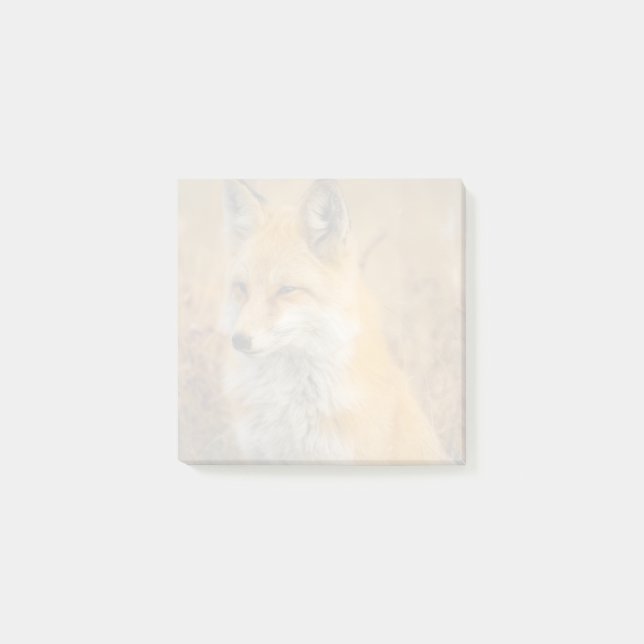 Niedliche Rote Fox Naturfotografie verblasst Post-it Klebezettel (Vorderseite)