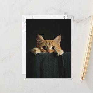 Niedliche rote Katze schaut hervor Postkarte