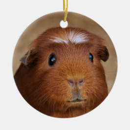 Niedliche Rote und weiße Guinea Schweinefleisch Ke Keramik Ornament