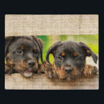Niedliche Rottweiler Welpen Hunde Tierart Puzzle<br><div class="desc">Dieses niedliche Puzzle aus Puzzles mit zwei Rottweiler Welpen,  die durch ein rustikales Tor schauen. #rottweiler #jigsawpuzzle #stockingstuffers #games #country #gifts #puppy #niedlich #puzzle #jigsaw #stockingstopffers</div>