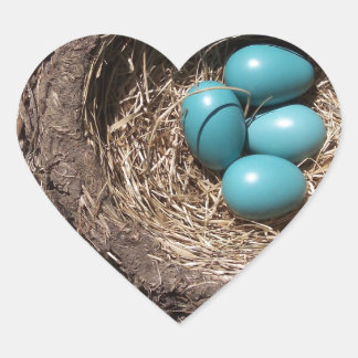 Niedliche Rustikale Vogelnest Blaue Robin Eggs Herz-Aufkleber