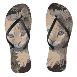 Niedliche Sammlung von Katzen 3 Flip Flops