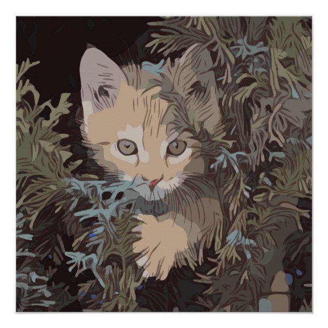 Niedliche Sammlung von Katzen 3 Poster (Vorderseite)
