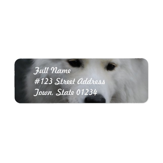 Niedliche Samoyed-Mailing-Labels (Vorne)