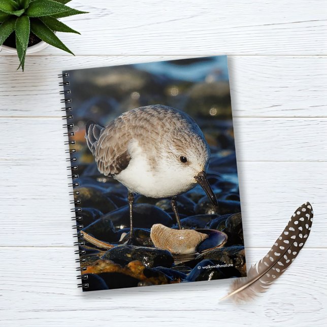 Niedliche Sanderling Dines auf Clam am Strand Notizblock (Cute Sanderling Dines on Clam Journal Cover Photo)