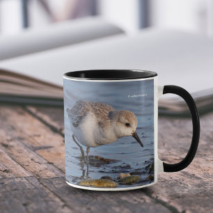 Niedliche Sanderling Sandpiper Forages on Shore Tasse