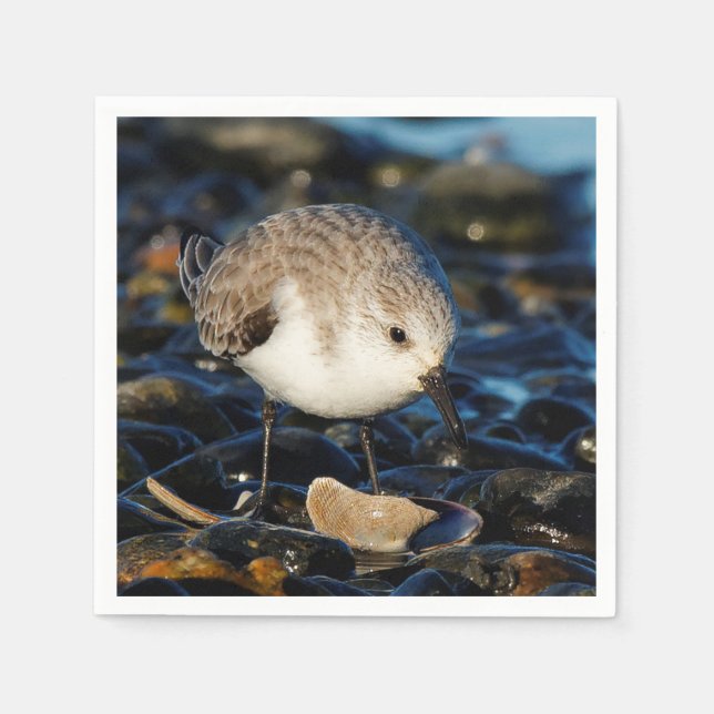 Niedliche Sanderling Sandpiper Shorebird Dines on  Serviette (Vorderseite)