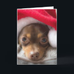 Niedliche SanktChihuahua Feliz Navidad Karte<br><div class="desc">Löschen Sie oder benutzen Sie die niedliche bereits eingeschlossene Seil-Schriftartaufschrift. Von unserem Doghouse zu Ihrem Doghouse,  Feliz Navidad.</div>