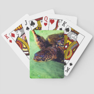 Niedliche Schildkröte Spielkarten