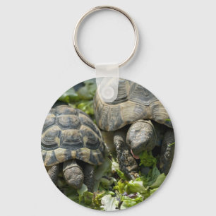 Niedliche Schildkröten Schlüsselanhänger