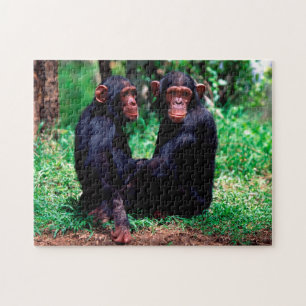 Niedliche Schimpansen, Jigsaw Puzzle