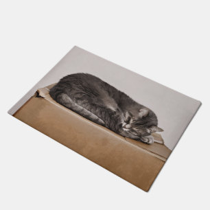 Niedliche Schlachtung mit Tabby Fußmatte