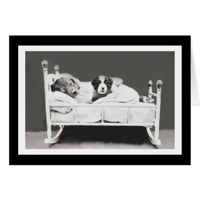 Niedliche Schlafhunde von Harrier Whittier Frees (Vorderseite (Horizontal))