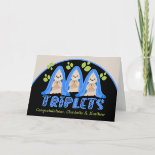 Niedliche Schlampe Drei Jungen Neue Triole Babys Karte