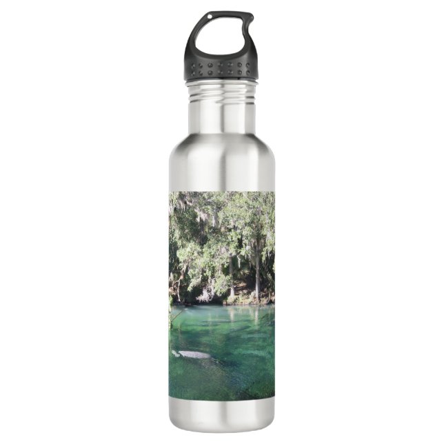 Niedliche Schlösser Florida Edelstahlflasche (Vorderseite)