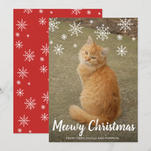 Niedliche Schneeflocken Foto Cat Meowy Weihnachten (Vorne/Hinten)