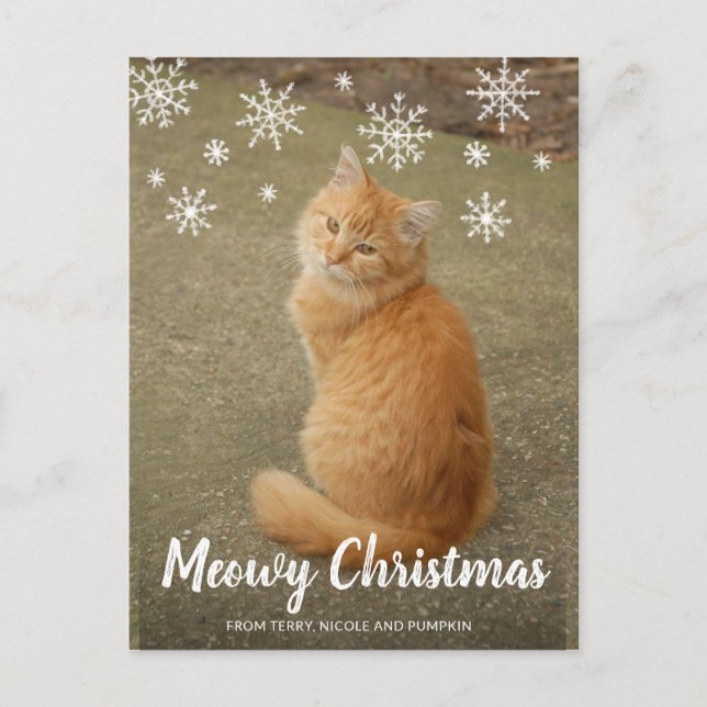 Niedliche Schneeflocken Foto Cat Meowy Weihnachten (Vorderseite)