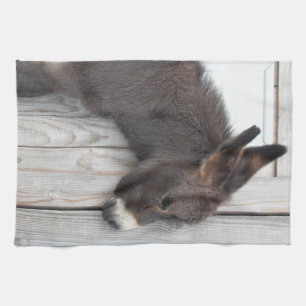 Niedliche Schokolade Baby Donkey Foal Geschirrtuch