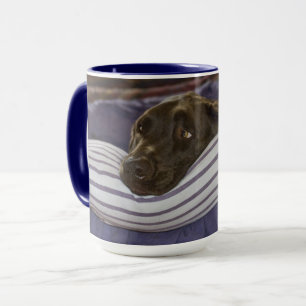 Niedliche Schokolade Labrador Retriever auf Lila B Tasse