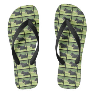 Niedliche schottische Terrier Flip Flops