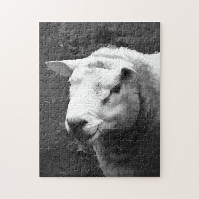 NIEDLICHE SCHUHE (Vertikal)