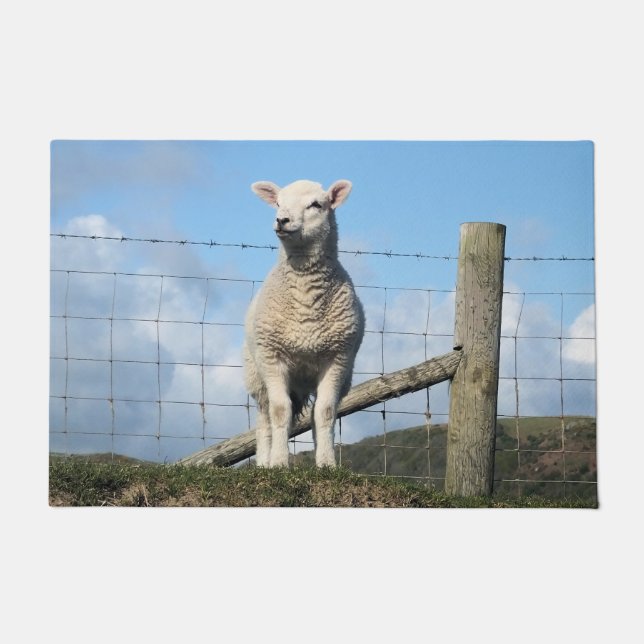 NIEDLICHE SCHUHE FUßMATTE (Vorderseite)