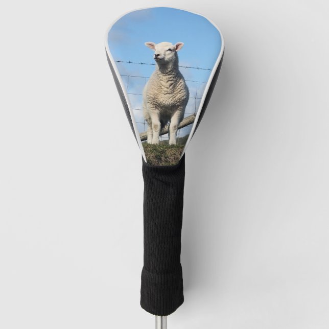 NIEDLICHE SCHUHE GOLF HEADCOVER (Vorderseite)