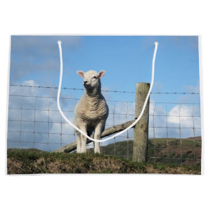 NIEDLICHE SCHUHE GROßE GESCHENKTÜTE