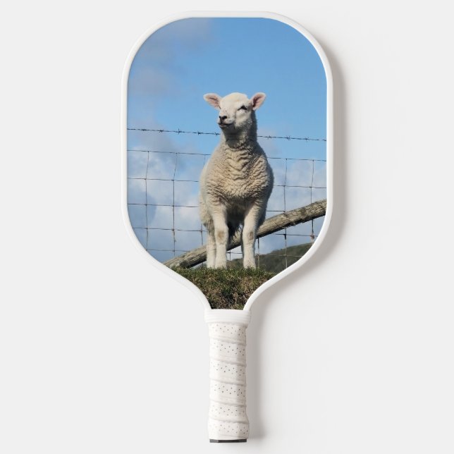 NIEDLICHE SCHUHE PICKLEBALL SCHLÄGER (Vorderseite)