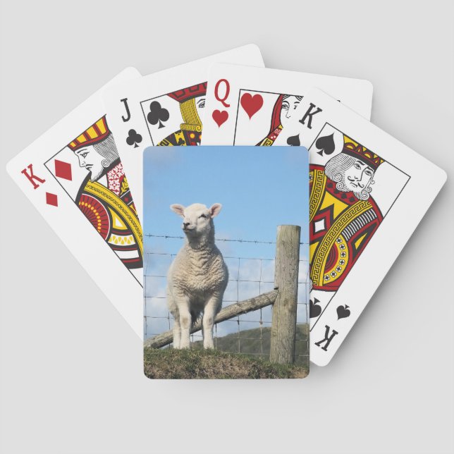 NIEDLICHE SCHUHE SPIELKARTEN (Rückseite)