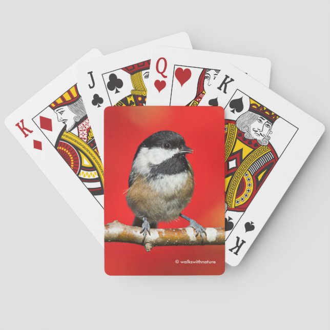 Niedliche schwarz gekappte Chickade mit roten Herb Spielkarten (Rückseite)