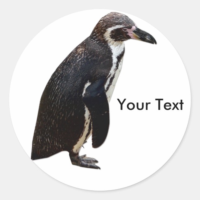 Niedliche Schwarz-Weiß-Pinguin-Aufkleber Runder Aufkleber (Vorderseite)