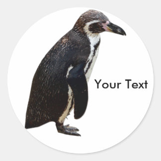 Niedliche Schwarz-Weiß-Pinguin-Aufkleber Runder Aufkleber