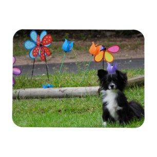Niedliche Schwarz-Weiß-Welpe-Blume Magnet