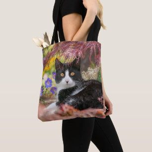 Niedliche schwarz-weiße Katze unter einem Ahornba Tasche