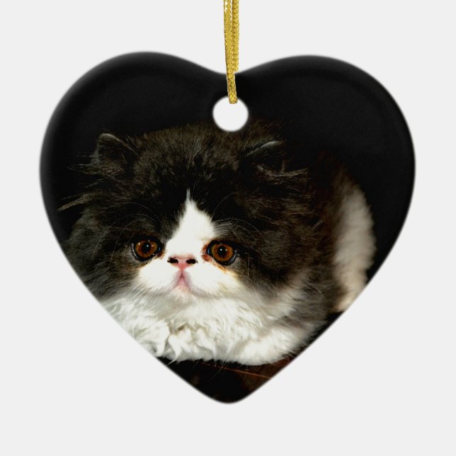 Niedliche Schwarz-weiße Katzenkatze Keramikornament (Vorne)