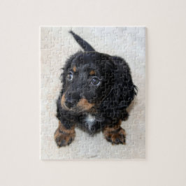 Niedliche schwarze Dackel Puppy Dog Jigsaw Puzzle