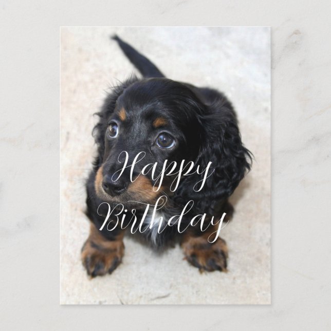 Niedliche schwarze Dackel Welpe Hund Geburtstag Postkarte (Vorderseite)